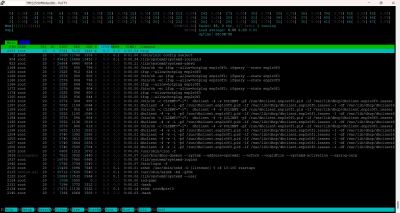 Supermicro 2U 12LFF 2PSU 6028U-TR4T+, 2xE5-2650v4, GPU ready